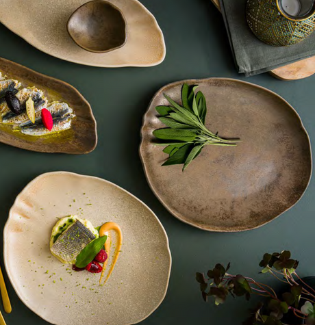 Restaurant tableware presentation with stoneware plates and modern food plating